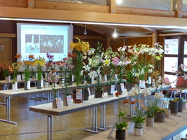 Foto: Dr. Peter Müller